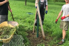 Baumscheiben_2023-02