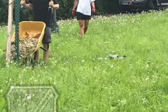 Baumscheiben_2023-04