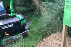 Baumscheiben_2023-06