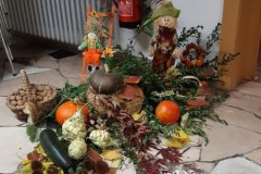Kartoffeltestessen-Gersheim_2023-02