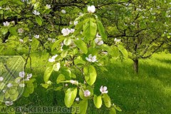 2024-Impressionen-05