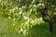 2024-Impressionen-06