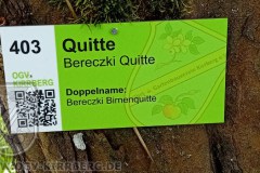2024-Impressionen-07