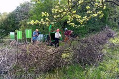 2024-SR-im-Hortus-Fructus-18