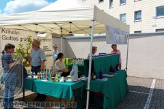 2024-Tag-der-Nachhaltigkeit-02
