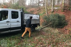 2024-Weihnachtsbaum-2
