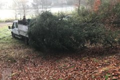 2024-Weihnachtsbaum-3
