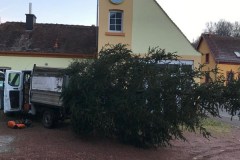 2024-Weihnachtsbaum-5