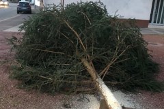 2024-Weihnachtsbaum-7