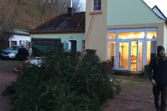 2024-Weihnachtsbaum-8