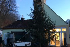 2024-Weihnachtsbaum-9