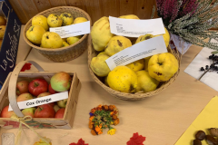 2025_Erntedank-75-Jahre-Sonntag-16