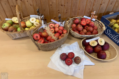 2025_Erntedank-75-Jahre-Sonntag-18