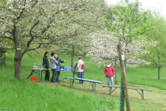 2025-Tag-der-Streuobstwiese-11