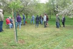 2025-Tag-der-Streuobstwiese-12