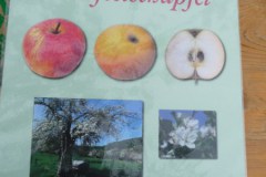 2025-Tag-der-Streuobstwiese-18