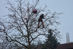 Weihnachtsmarkt-2025-01