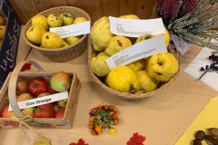 Erntedankfest-Sonntag-2025-14