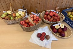 Erntedankfest-Sonntag-2025-18