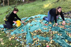 2025_Obsternte_Oktober-05