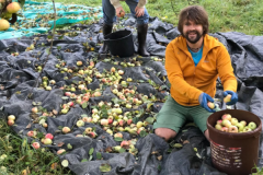 2025_Obsternte_Oktober-06