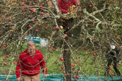 2025_Obsternte_Oktober-10