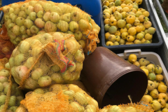 2025_Obsternte_Oktober-12