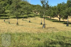 2026-Pflege-HortusFructus-im-Juli-04